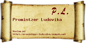 Promintzer Ludovika névjegykártya
